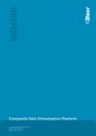 Cover for Composite Data Virtualization Platform