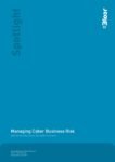 Cover for Managing Cyber Business Risk