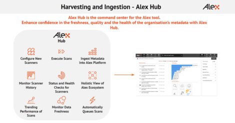 Fig 01 - The Alex Hub