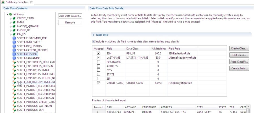 Fig 1 - Data classification in IRI Workbench
