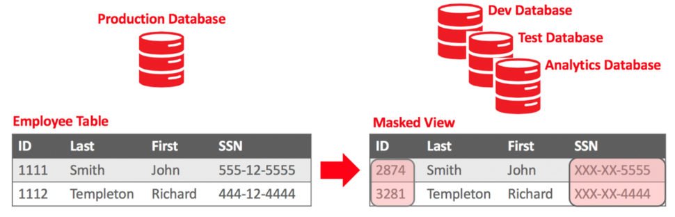 Fig 1 - Masking RDBMS data
