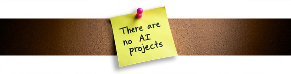 Time for business functions to establish their own AI-related roles and capabilities banner