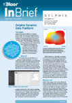 DELPHIX InBrief cover thumbnail
