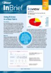 K2view Data Fabric InBrief (April 2024 cover thumbnail)