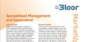 Cover for Spreadsheet Management and Governance