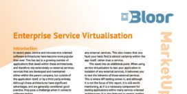 Cover for Enterprise Service Virtualisation