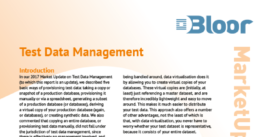 00002460 - TEST DATA MANAGEMENT MarketUpdate cover thumbnail