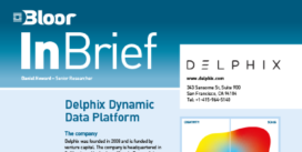DELPHIX InBrief cover thumbnail