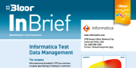 INFORMATICA InBrief cover thumbnail
