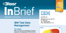 00002470 - IBM InBrief cover thumbnail