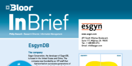 00002481 - ESGYN DB InBrief cover thumbnail