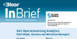 SAS Operationalising Analytics InBrief cover thumbnail
