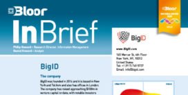 BIG ID InBrief (SENSITIVE DATA) cover thumbnail