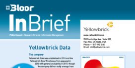 YELLOWBRICK InBrief cover thumbnail