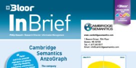 CAMBRIDGE SEMANTICS InBrief cover thumbnail