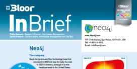 00002590 - NEO4J InBrief cover thumbnail