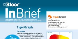 TIGERGRAPH InBrief cover thumbnail