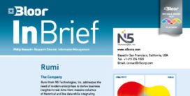 N5 RUMI InBrief (cover thumbnail)