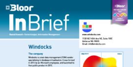 WINDOCKS InBrief (cover thumbnail)