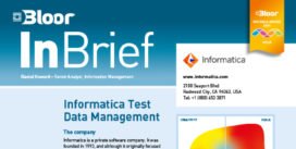 INFORMATICA InBrief (cover thumbnail)