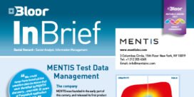 00002657 - MENTIS InBrief (cover thumbnail)
