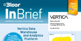 VERTICA InBrief (cover thumbnail)