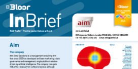 00002794 - AIM InBrief (cover thumbnail)
