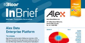 ALEX SOLUTIONS InBrief (cover thumbnail)