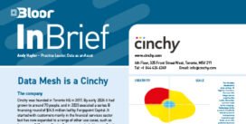 Cinchy InBrief (cover thumbnail)