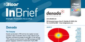 DENODO InBrief (cover thumbnail)