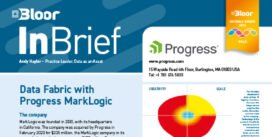 PROGRESS Data Fabric InBrief (cover thumbnail)