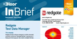 REDGATE TDM InBrief (cover thumbnail)
