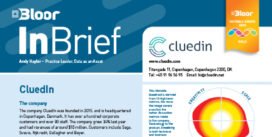 CLUEDIN MDM InBrief (Mar 2025 cover)